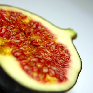 Fig